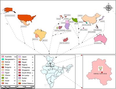 Frontiers | Current Research Trends and Prospects for Yield and 